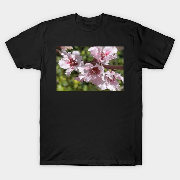 Blooming Branch T-Shirt by mariola5